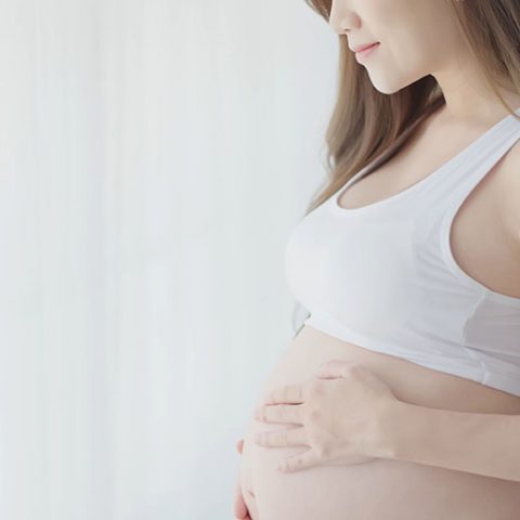 shutterstock_1079835758