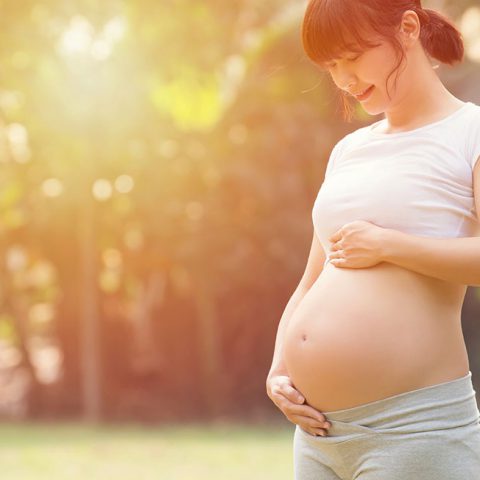 shutterstock_1115056190