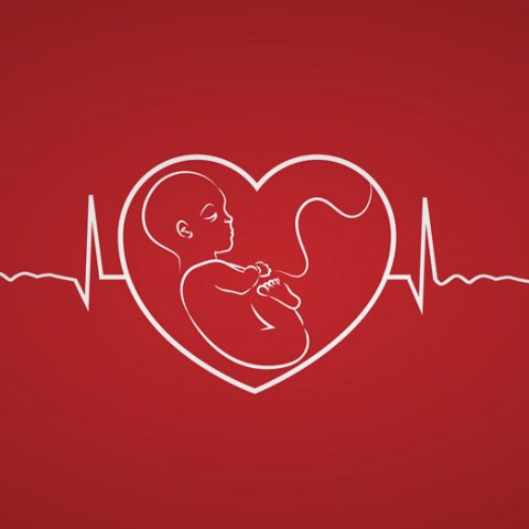 Mấy tuần có tim thai? Tim thai bao nhiêu là tốt nhất