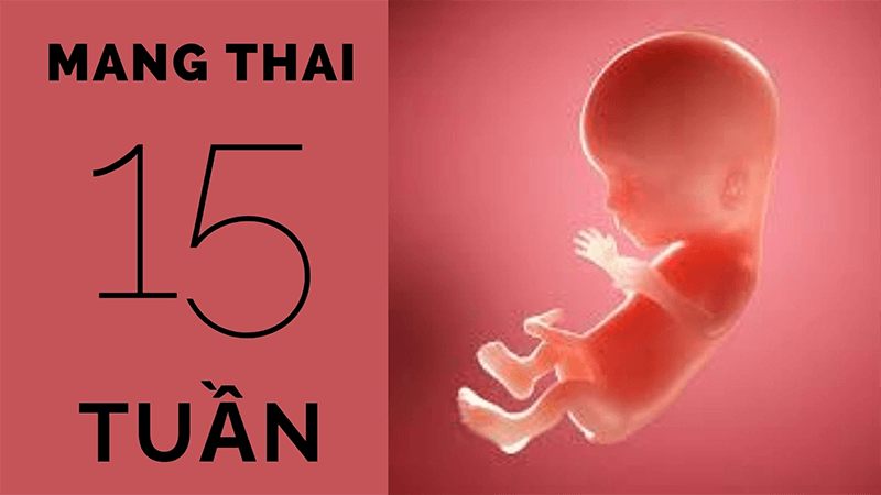 thai-nhi-15-tuan-nhung-bien-doi-va-hoan-thien-thanh-phien-ban-baby-2-1