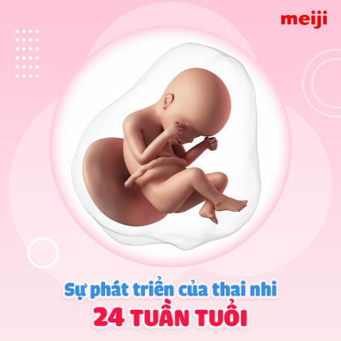 thai-24-tuan