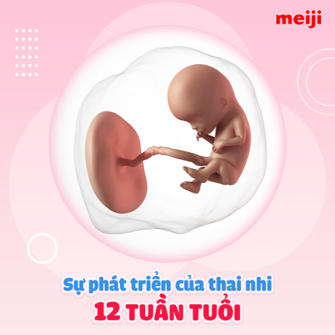 thai-12-tuan-tuoi