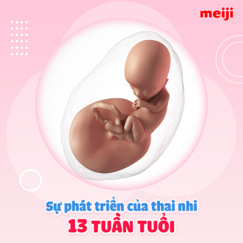 thai-13-tuan-tuoi