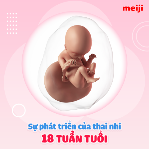 thai-18-tuan