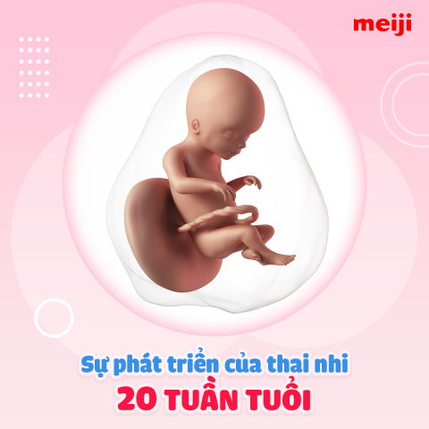 thai-20-tuan