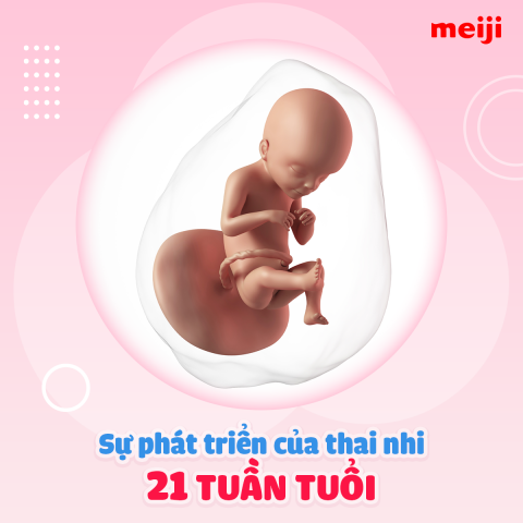thai-21-tuan