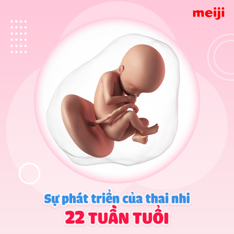 thai-22-tuan