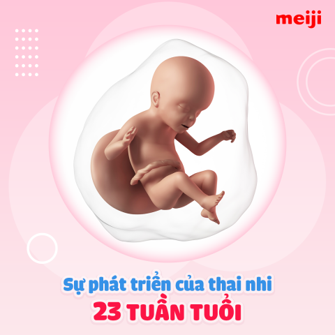 thai-23-tuan