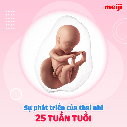 thai-25-tuan