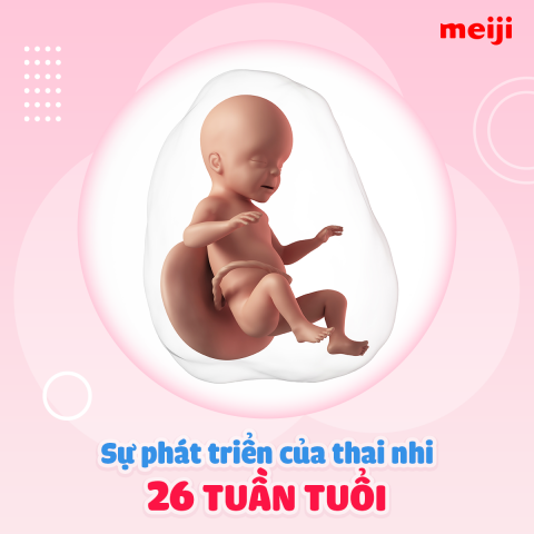 thai-26-tuan