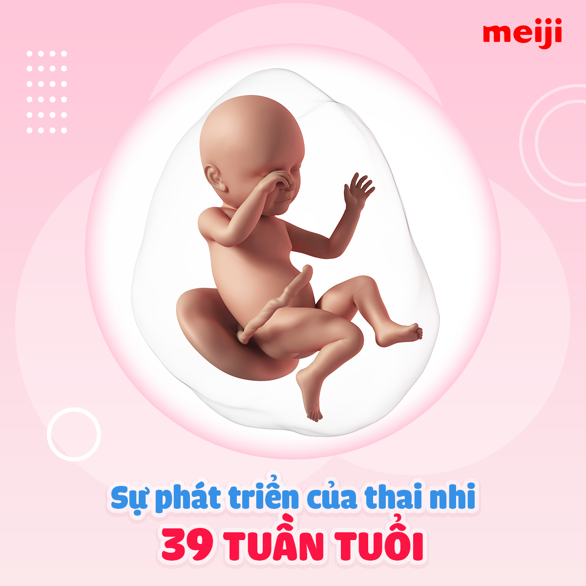 THAI NHI 39 TUẦN TUỔI NẰM CUỘN TRÒN TRONG BỤNG MẸ