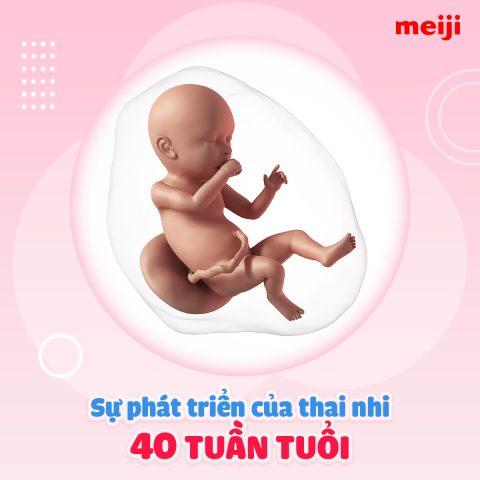 thai-40-tuan