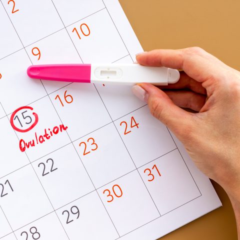 cach tinh ngay rung trung